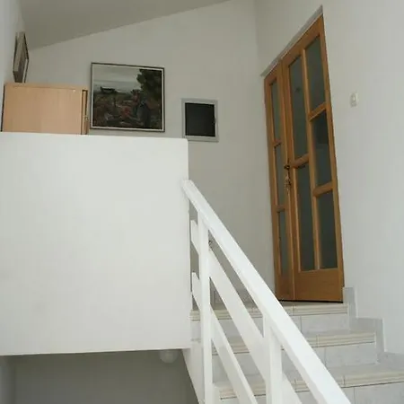 Zuljana 3164a *